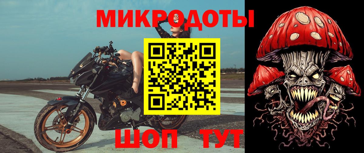 Галлюциногенные грибы Psilocybe Нальчик
